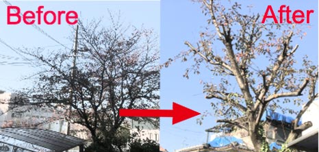 Before:After