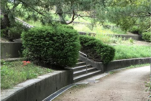 上の池・彼岸花