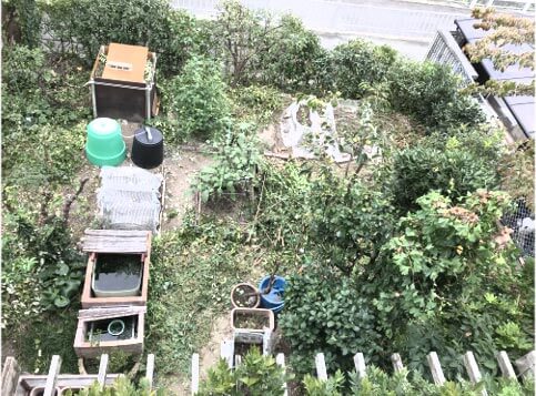 庭の剪定作業中１