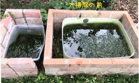 掃除の前