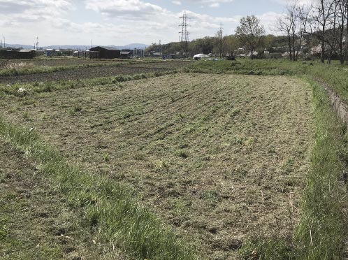 おばあさんの畑