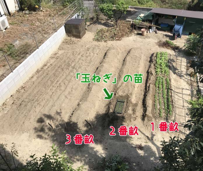 １０月１０日作業は半分