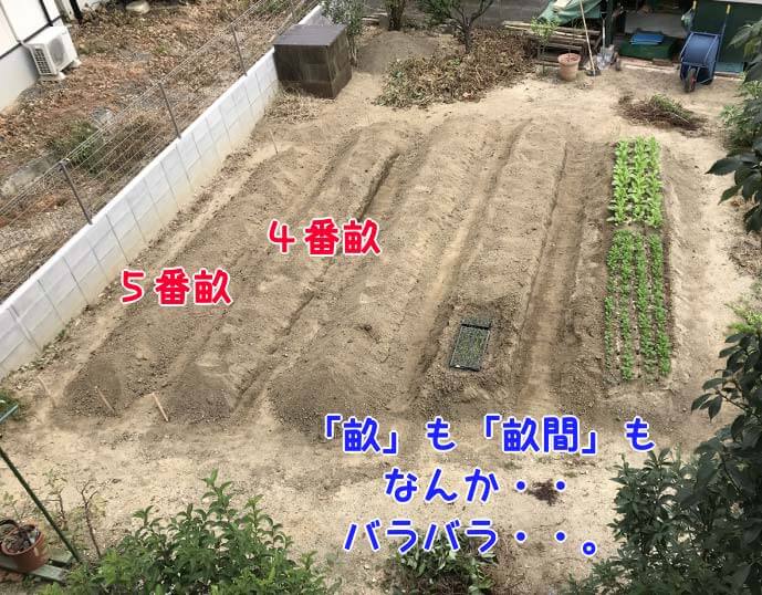 １０月１１日作業