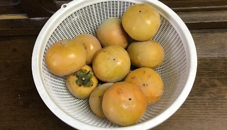 ２０２０・１０・２６